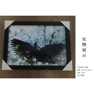 杨丽萍艺术 精美艺术实木画框 写真061